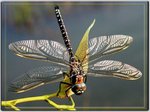 beautifull2.jpg