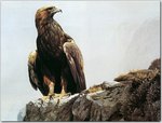 animal_nature024.jpg