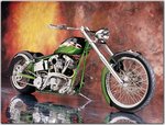 2005 Special Construction FXR _Reptilian DNA_.jpg