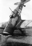 D21-1.jpg