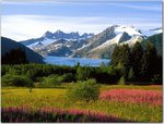 A Photographer's Canvas, Mendenhall Glacier, Alaska.jpg