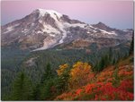 Sunrise at Paradise, Mount Rainer National Park, Washington.jpg