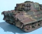 Tiger_II_Final Stage_8908.JPG