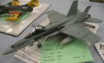FA-18A_7605.JPG