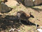IMG_1432.JPG