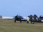 wirrawy3.jpg