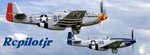p51_two01.JPG