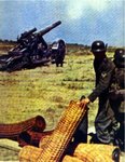 field_artillery_new.jpg