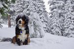 24068327_2040689582830491_2040219143306620000_n.jpg