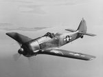 Captured_Focke-Wulf_Fw_190_in_flight_near_NAS_Patuxent_River_in_1944.jpg