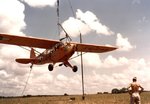 pipercub_brodie.jpg