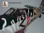DSCN3516.JPG