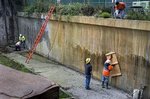 SFzoo.jpg