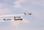 295831-R5-19-6.jpg