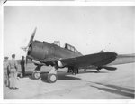P-35 ww2.jpg
