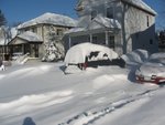 IMG_2097_1_1.JPG
