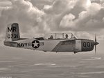 sepia_t-34_0946.jpg