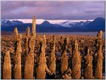 ph35783.wb1.jpg