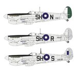 85sqnRAAF5.jpg