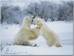 ph40748.wb1.jpg