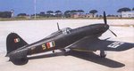 Fiat G.55  Centauro colour.jpg