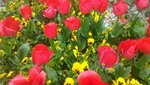 P_20180402_143208.jpg
