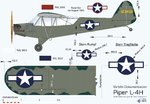 01B_Blatt-Piper-L-4.jpg