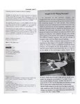 Radical WIngs p-36.jpg