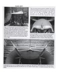 Radical WIngs p-40.jpeg