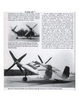Radical WIngs p-42.jpeg