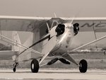 PiperJ3_EVG_8842.jpg