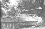 panther-2.jpg