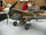 P40E_8010.JPG