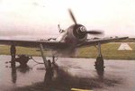 FW190-22f.jpg