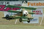 DSC_3708_jpg.jpg