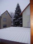 snow1.jpg