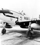 354 WRF_Down for Double_apr1945[marshall].JPG