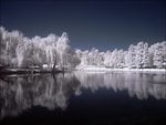 Infrared_Lake_by_dantudose.jpg