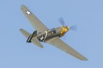 FagenP-40-3.jpg