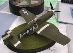 P51B_Ding hao_7642.JPG