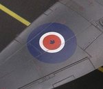 Seafury Roundel_7633.JPG