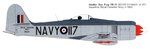 Sea Fury RCAF_1.jpg