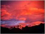 Alpenglow, Mount Tasman, New Zealand-a.jpg