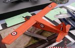 Beaver_7647.JPG