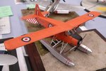 Beaver_7669.JPG
