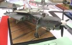 Barracuda_7982.JPG