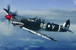 457sqnRAAf1.jpg