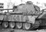 panther_damaged5.jpg