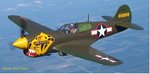 p40_warhawksinc.jpg