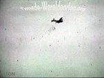 voedseldropping9.jpg